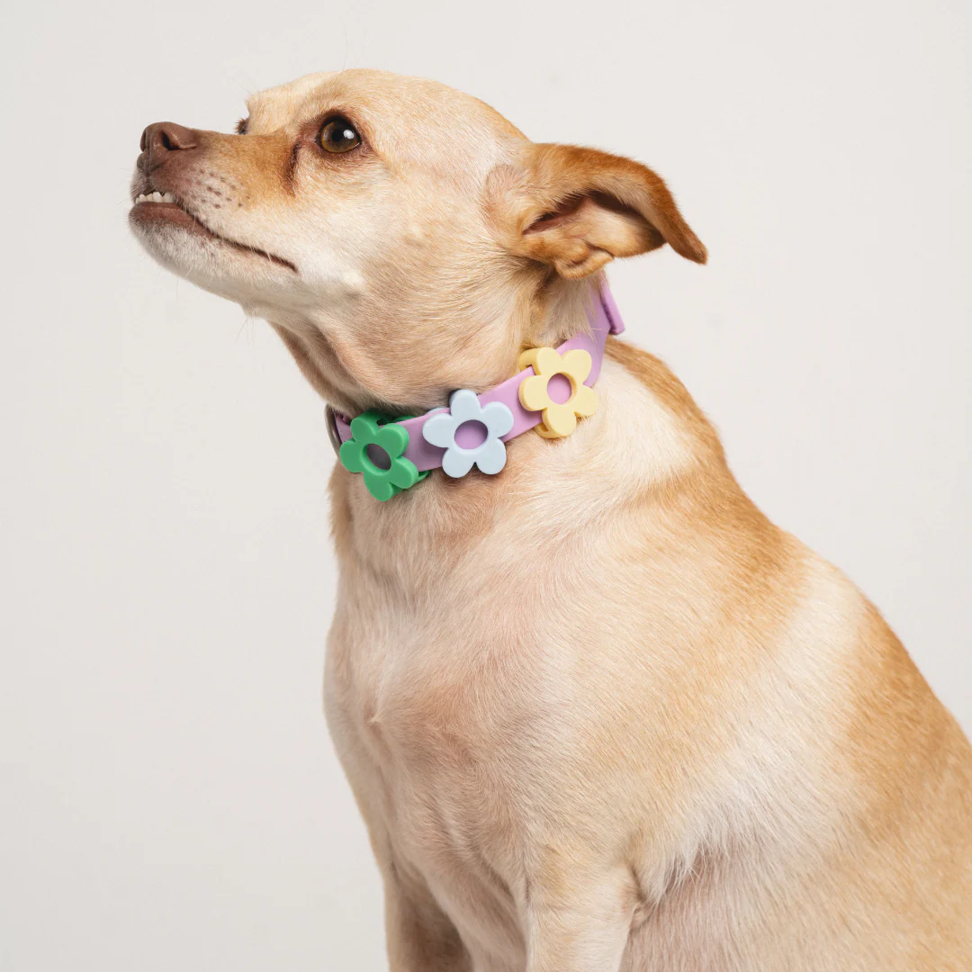 Waterproof Dog Collar - Image 30