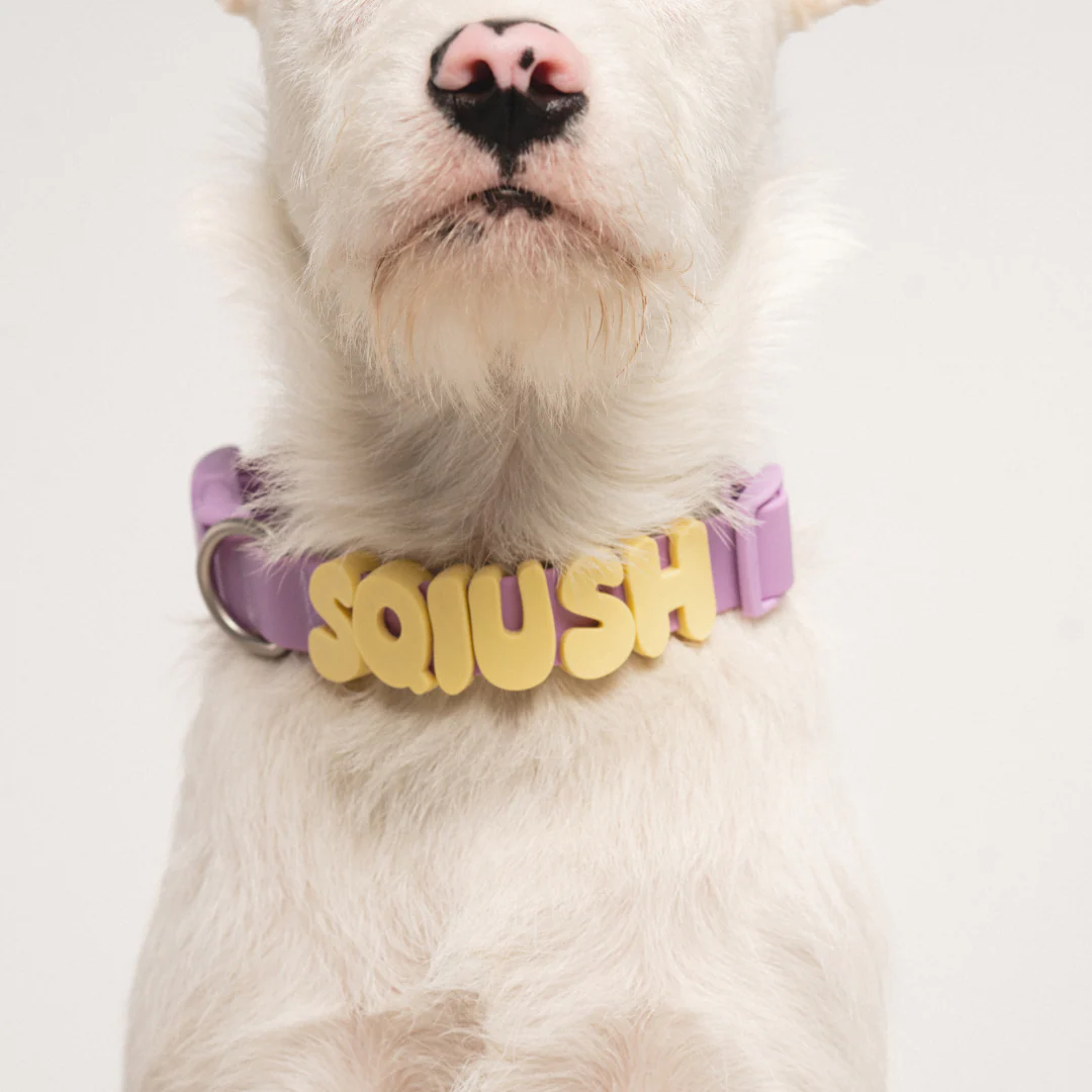 Waterproof Dog Collar - Image 31