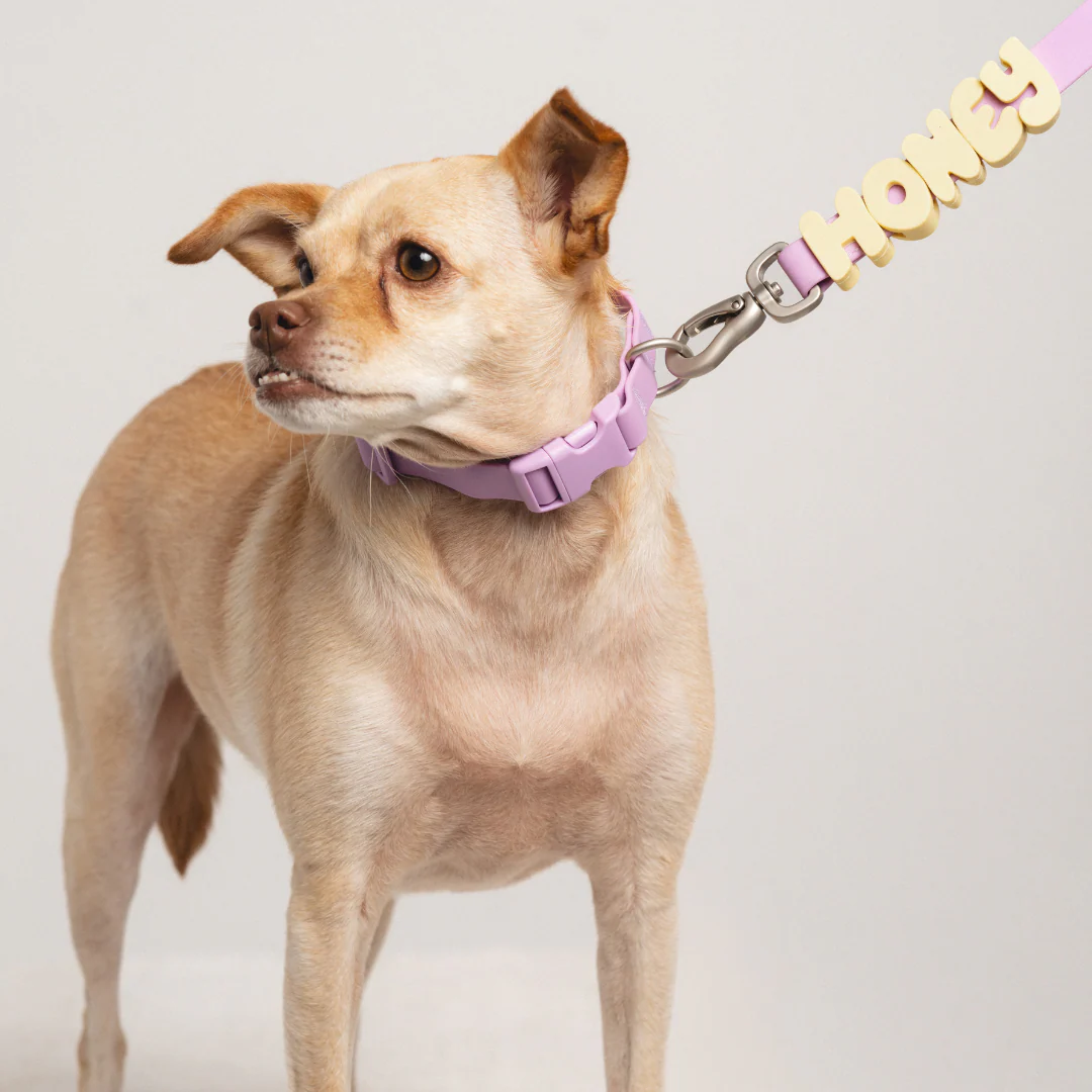 Waterproof Dog Collar - Image 32
