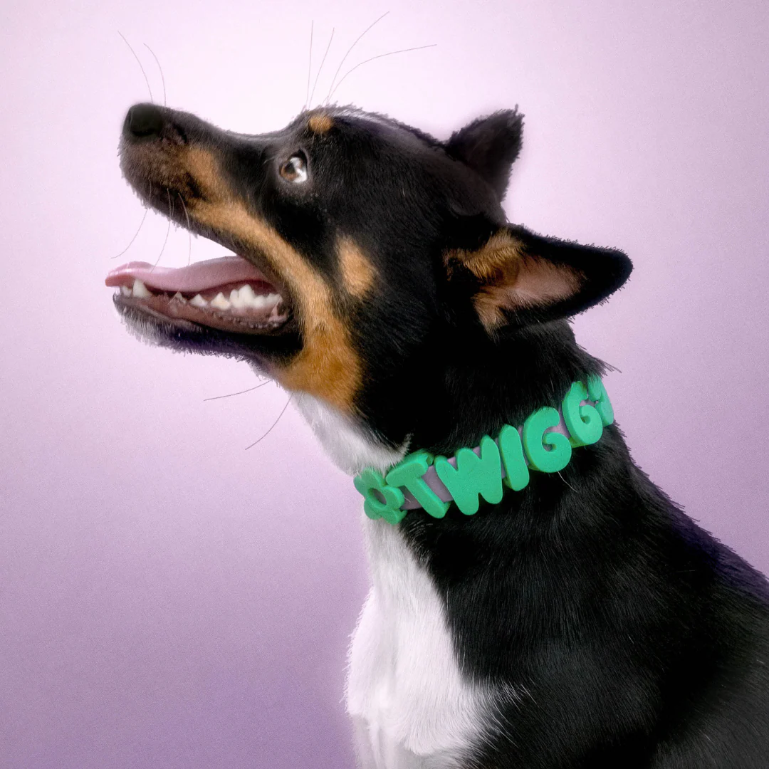 Waterproof Dog Collar - Image 33