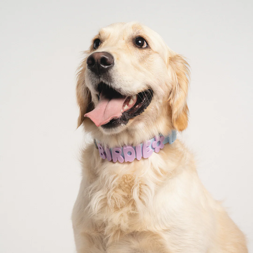 Waterproof Dog Collar - Image 37