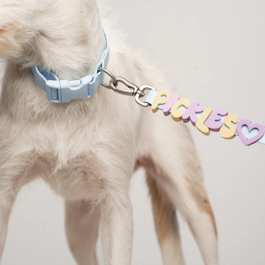 Waterproof Dog Collar - Image 38