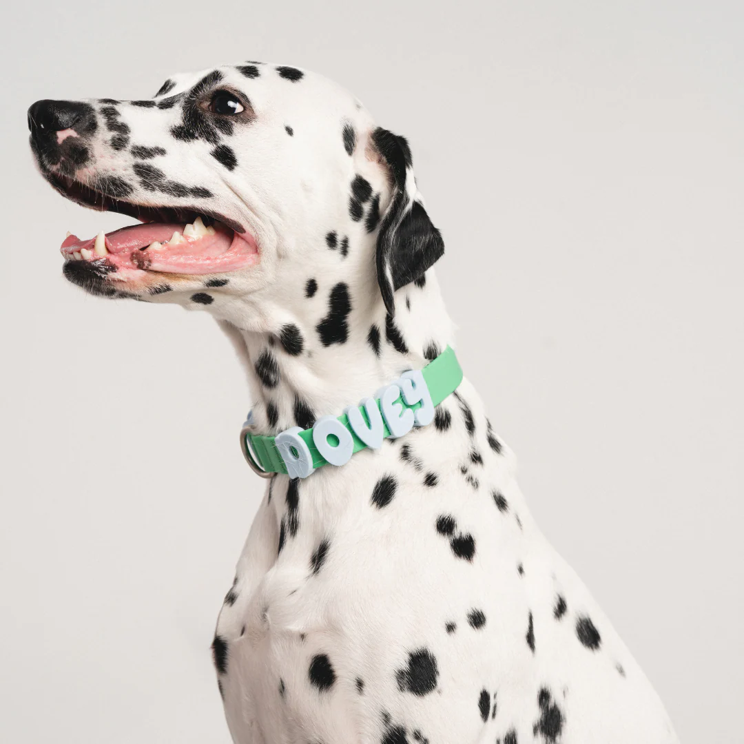Waterproof Dog Collar - Image 4