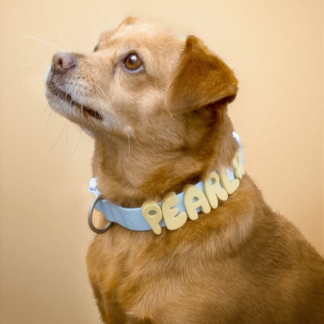 Waterproof Dog Collar - Image 41