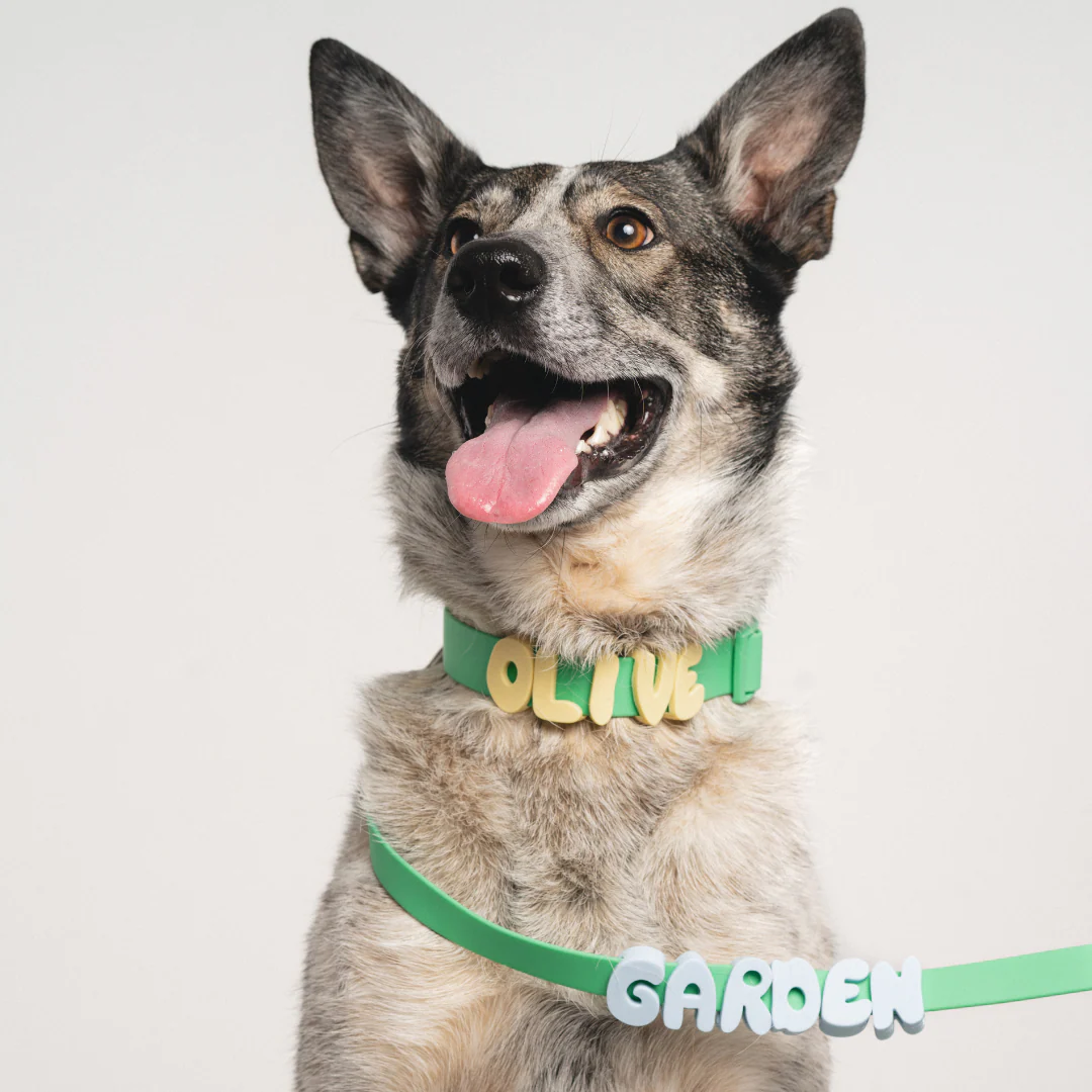 Waterproof Dog Collar - Image 6