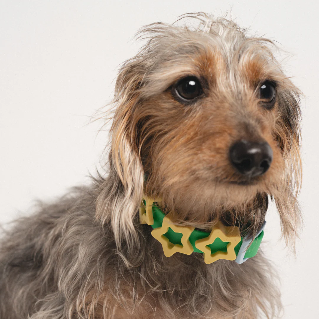 Waterproof Dog Collar - Image 7