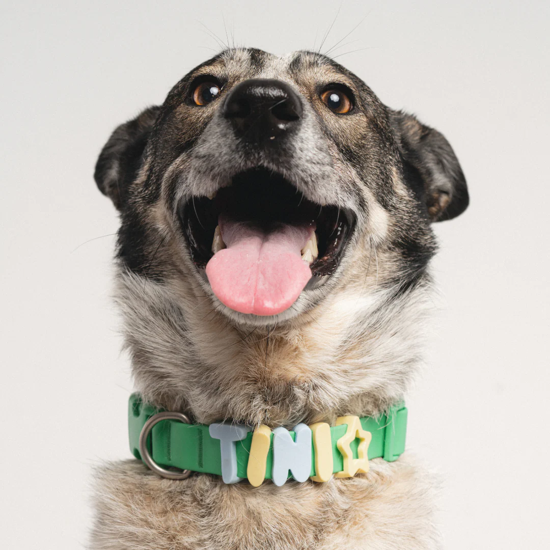 Waterproof Dog Collar - Image 8