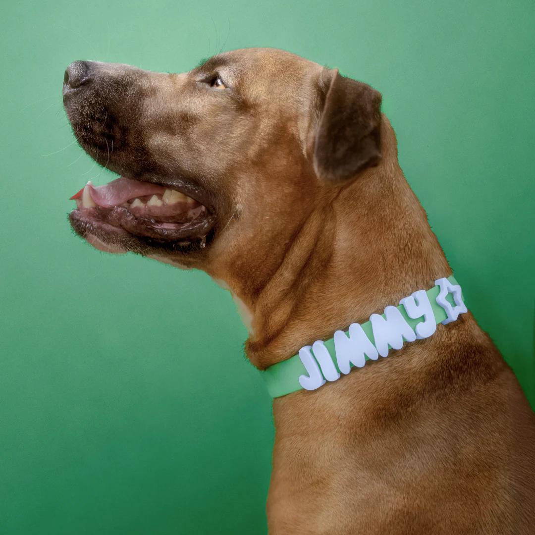 Waterproof Dog Collar - Image 9