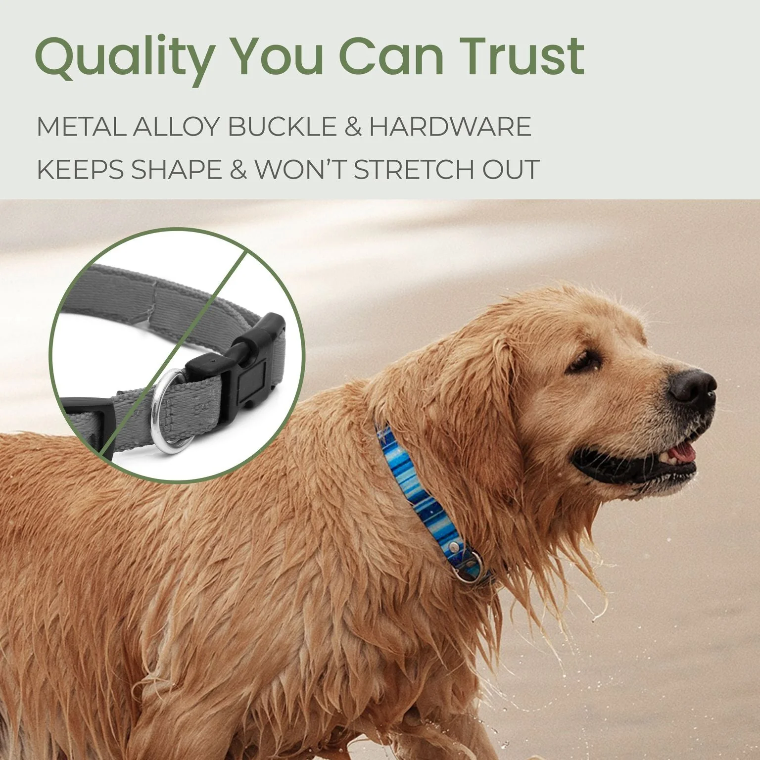 Waterproof Dog Collars – Washable Dog Collar, Stink-Proof & Durable - Image 6