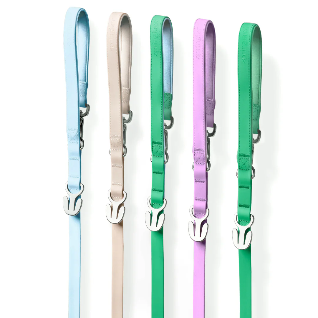 Waterproof Dog Leash - 5ft - Image 11
