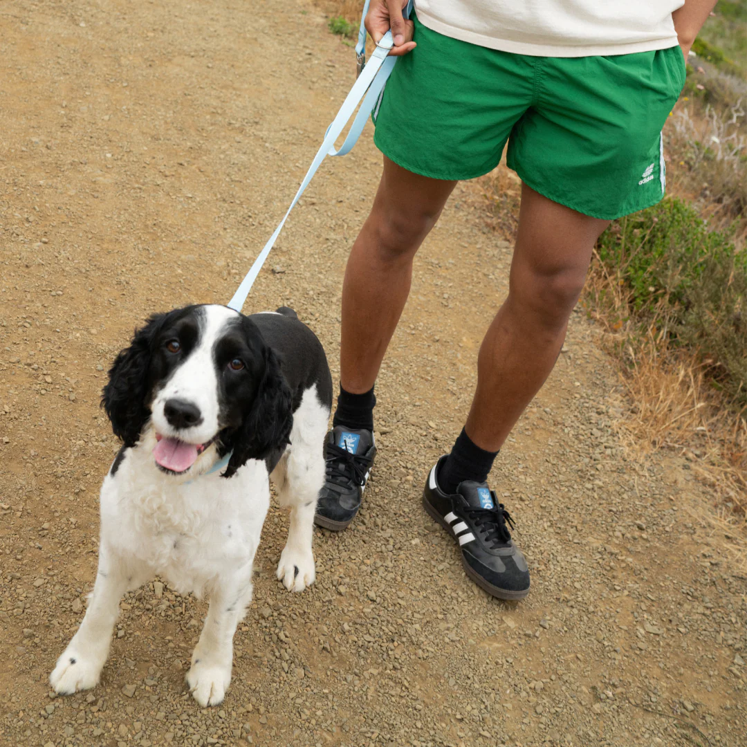 Waterproof Dog Leash - 5ft - Image 19