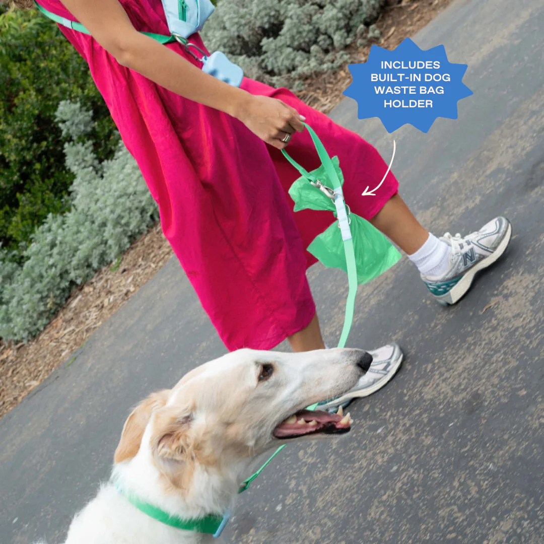 Waterproof Dog Leash - 5ft - Image 3