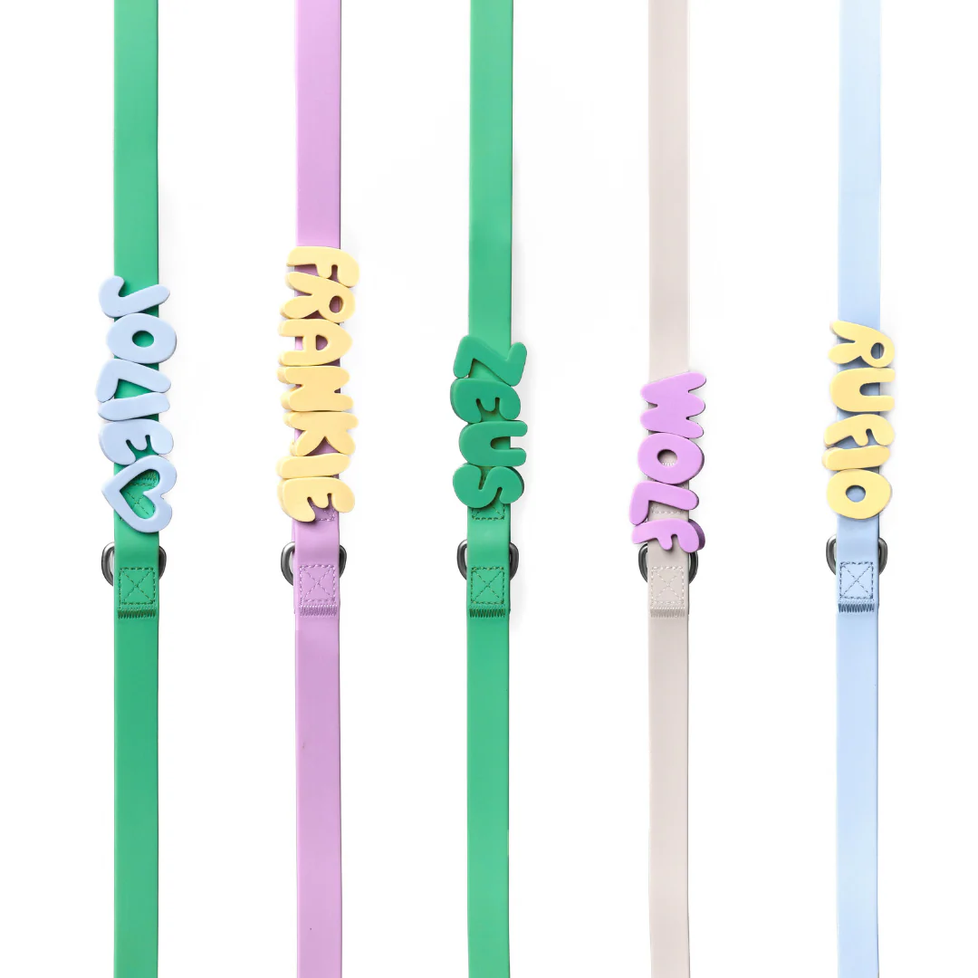 Waterproof Dog Leash - 5ft - Image 7