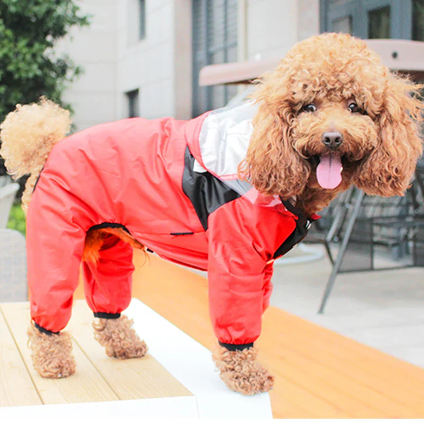 Waterproof Dog Raincoat | Keep Your Pup Dry & Happy in Any Storm - Image 10