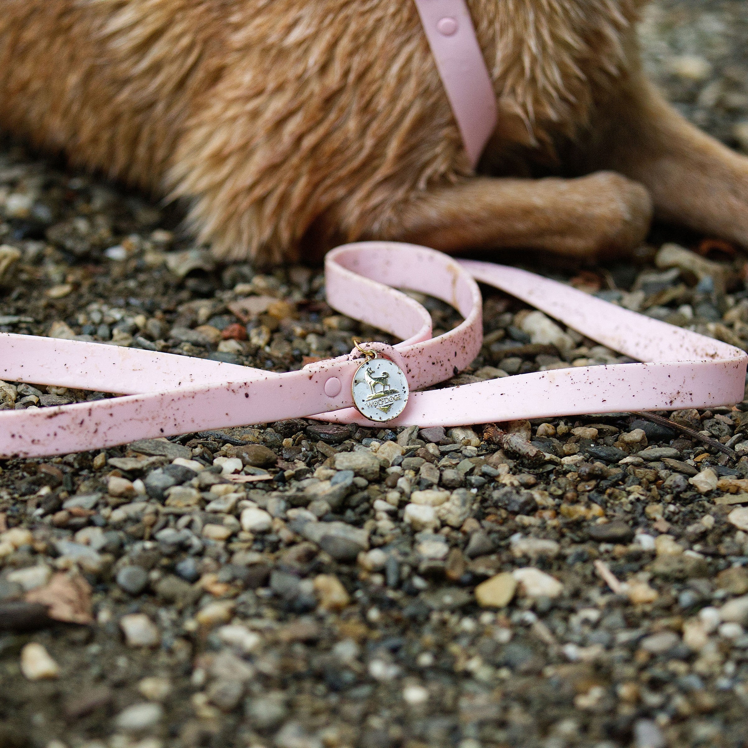 Waterproof Leash - Image 13