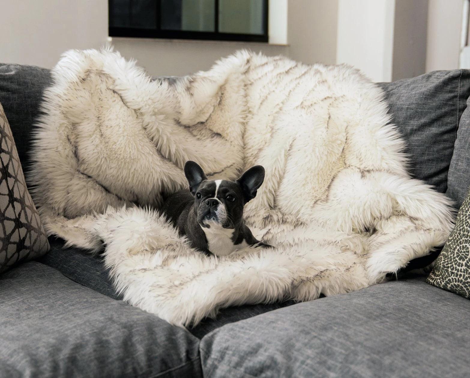 Waterproof Pet Warm Soft Throw Blanket  - Image 2