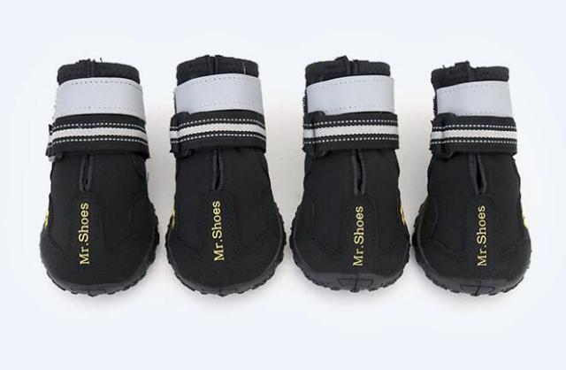 Waterproof Shoes/Boots for Medium Large Dogs - Image 10