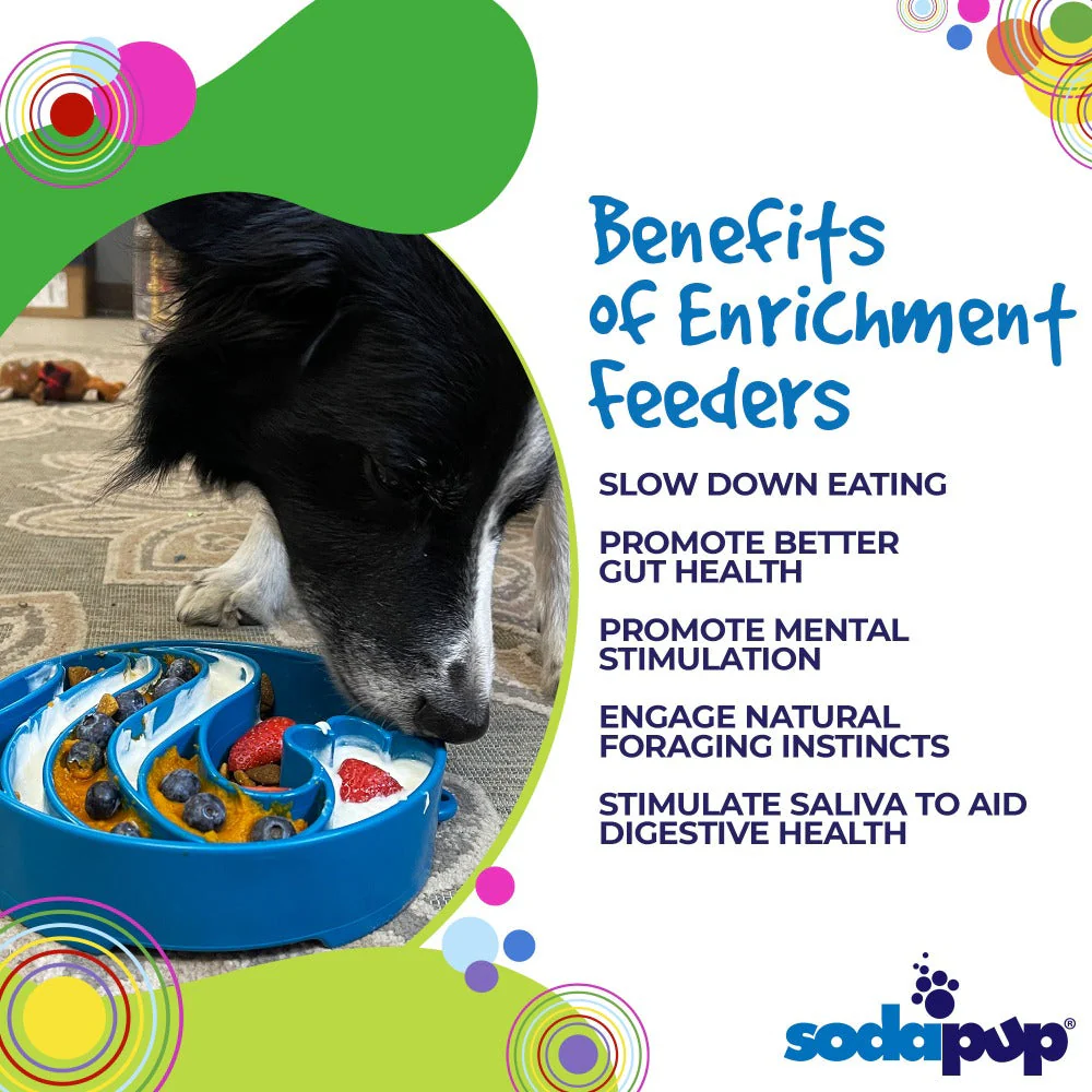 Wave eBowl Deep Slow Feeder Dog Bowl for Enrichment | Made in USA - Image 5