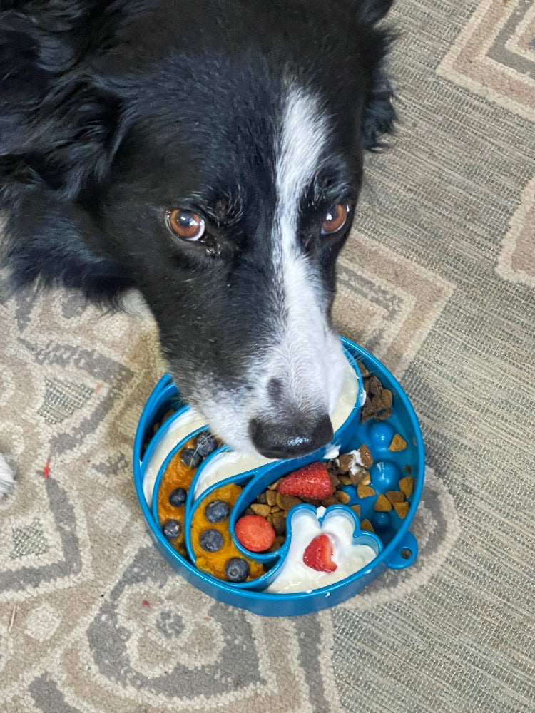 Wave eBowl Deep Slow Feeder Dog Bowl for Enrichment | Made in USA - Image 7