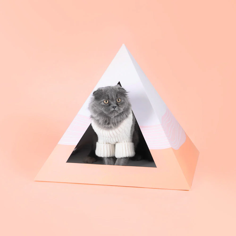 'Wavey' Cardboard Cat Pyramid - Image 2