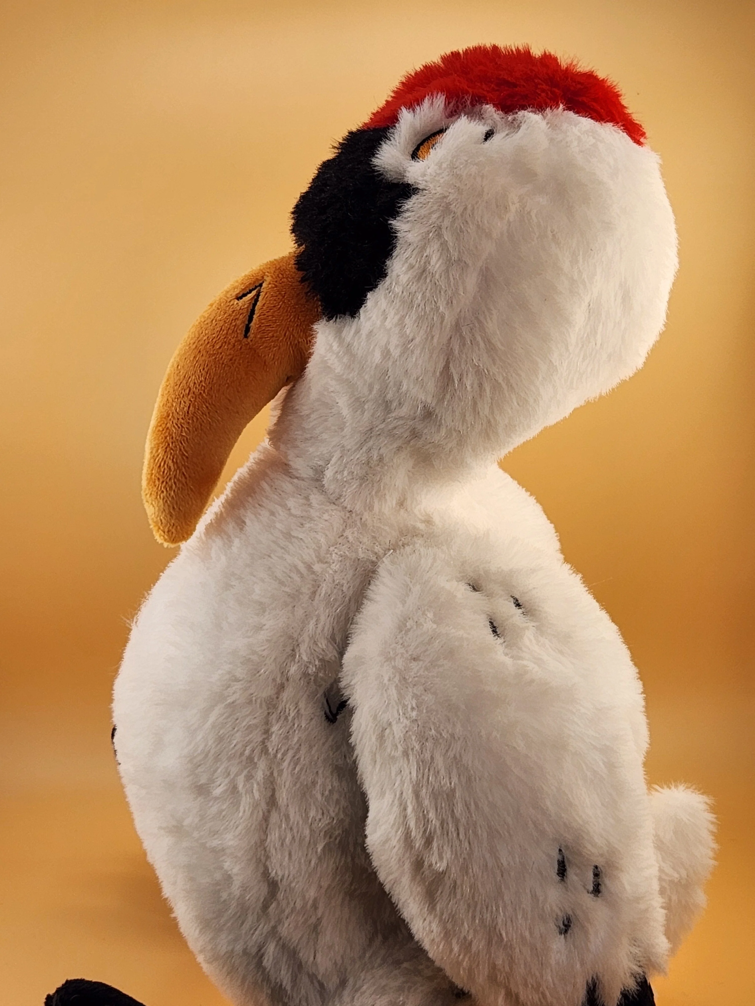 Wayne the Whooping Crane - Image 2