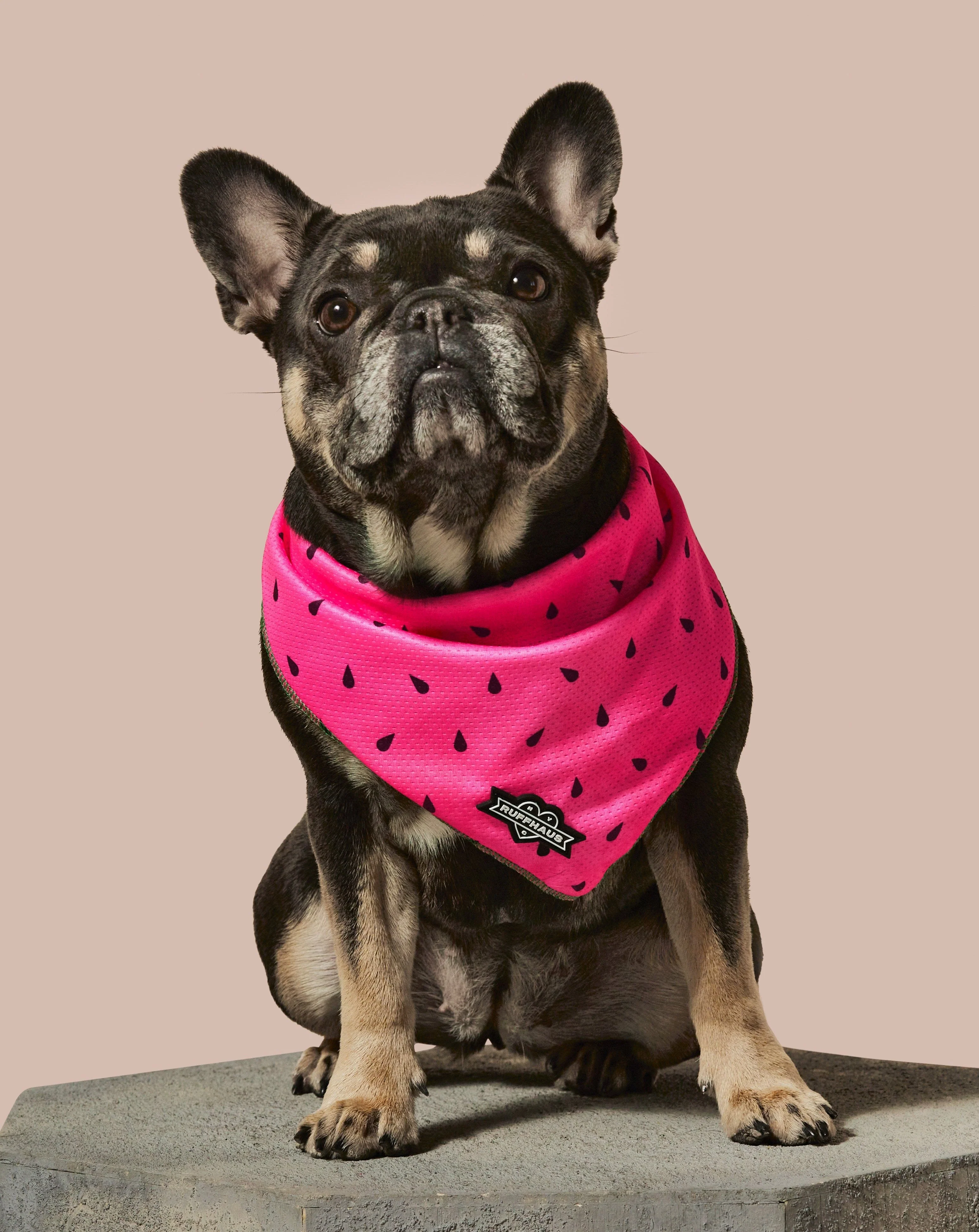 What-A-Melon Cooling Bandana - Image 2