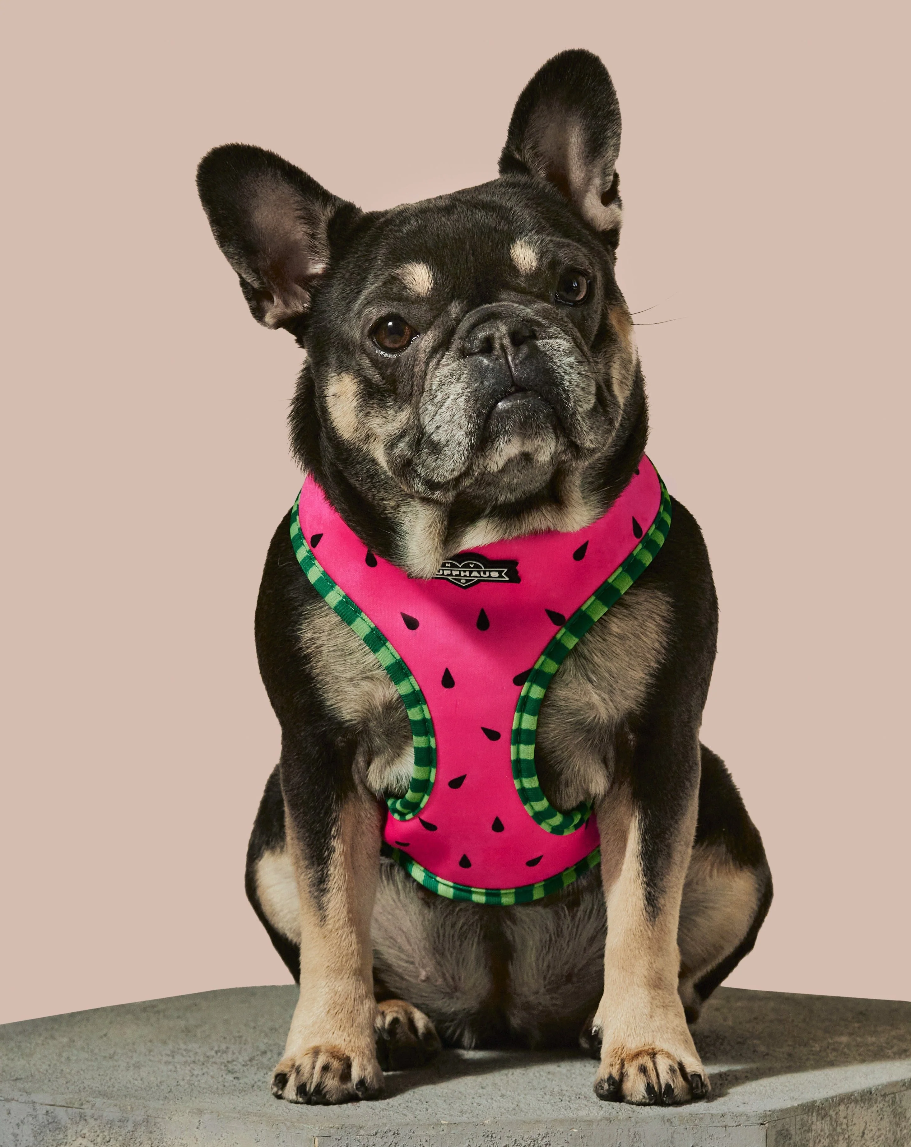 What-A-Melon Reversible Harness - Image 2