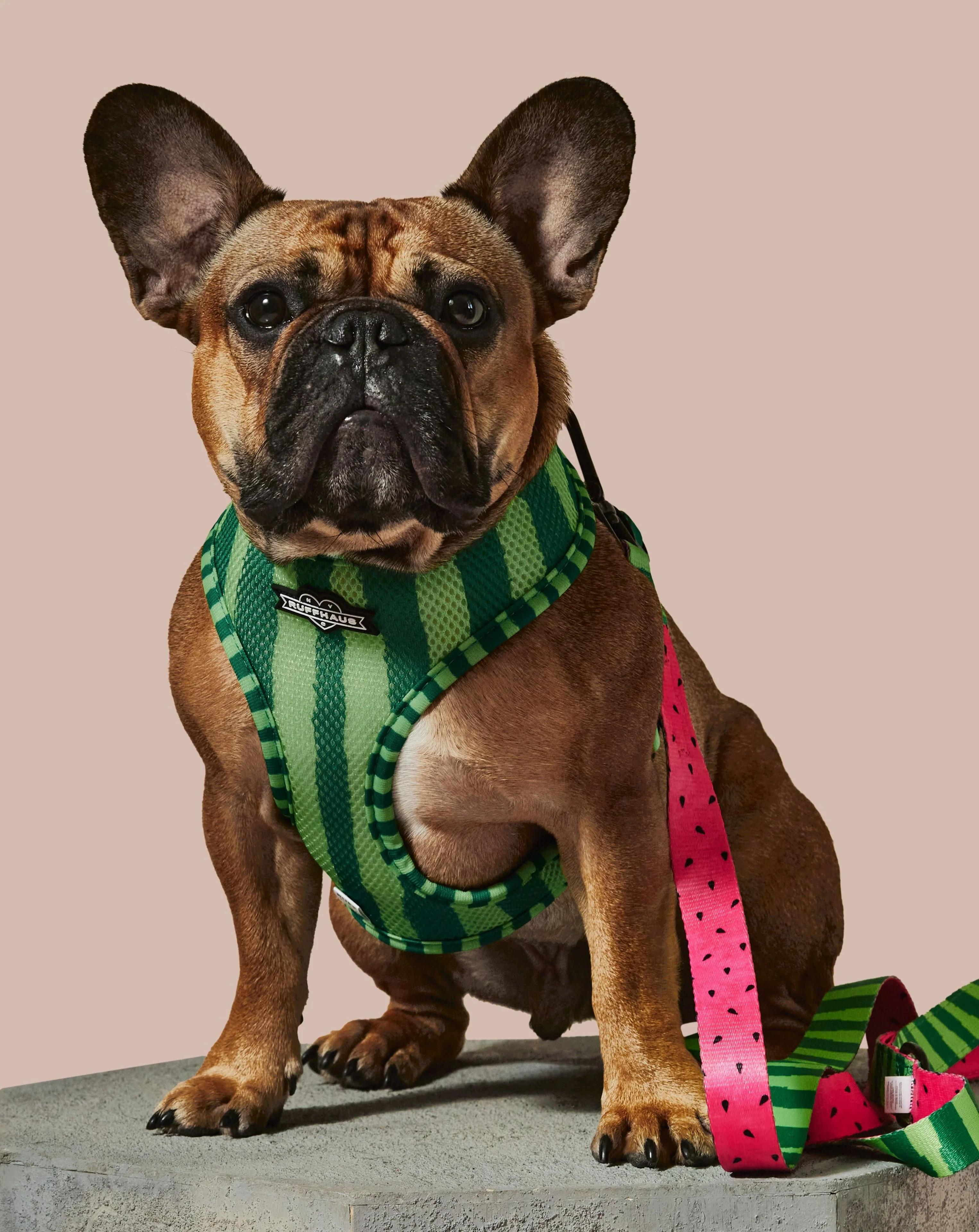 What-A-Melon Reversible Harness - Image 3