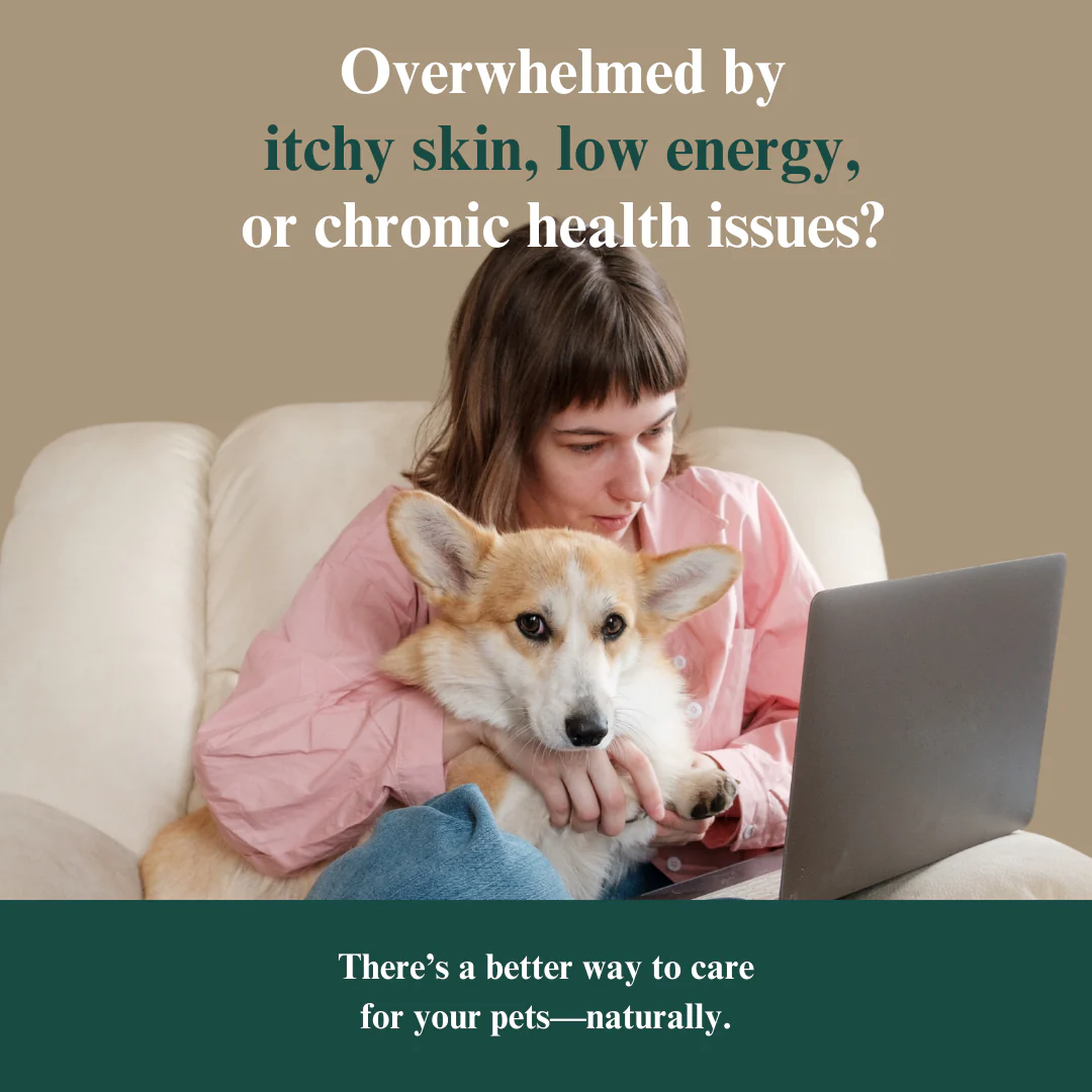 Whole Pet Wellness Academy: The Pet Parent Holistic Health Toolkit - Image 2
