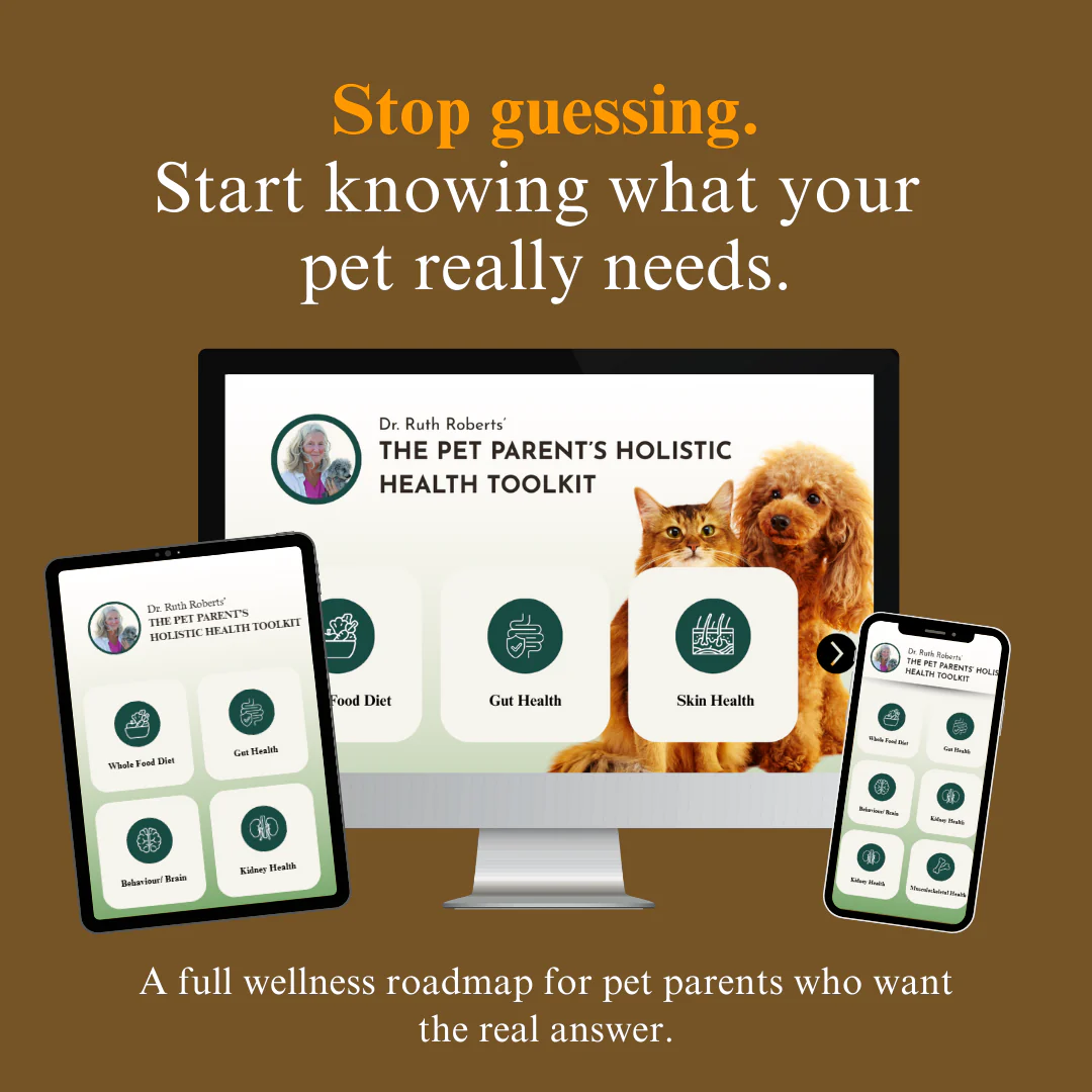 Whole Pet Wellness Academy: The Pet Parent Holistic Health Toolkit - Image 4