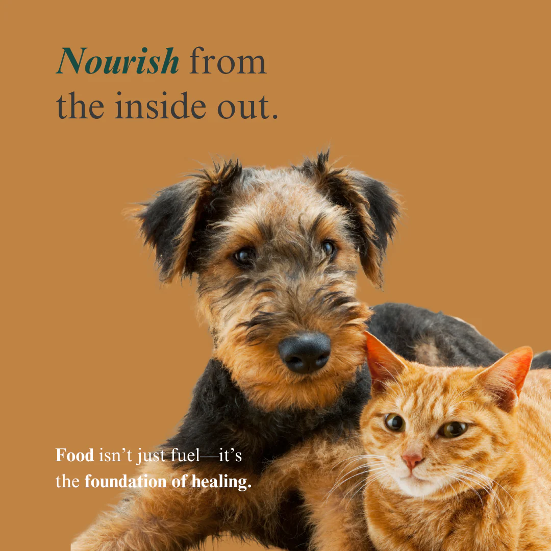 Whole Pet Wellness Academy: The Pet Parent Holistic Health Toolkit - Image 6