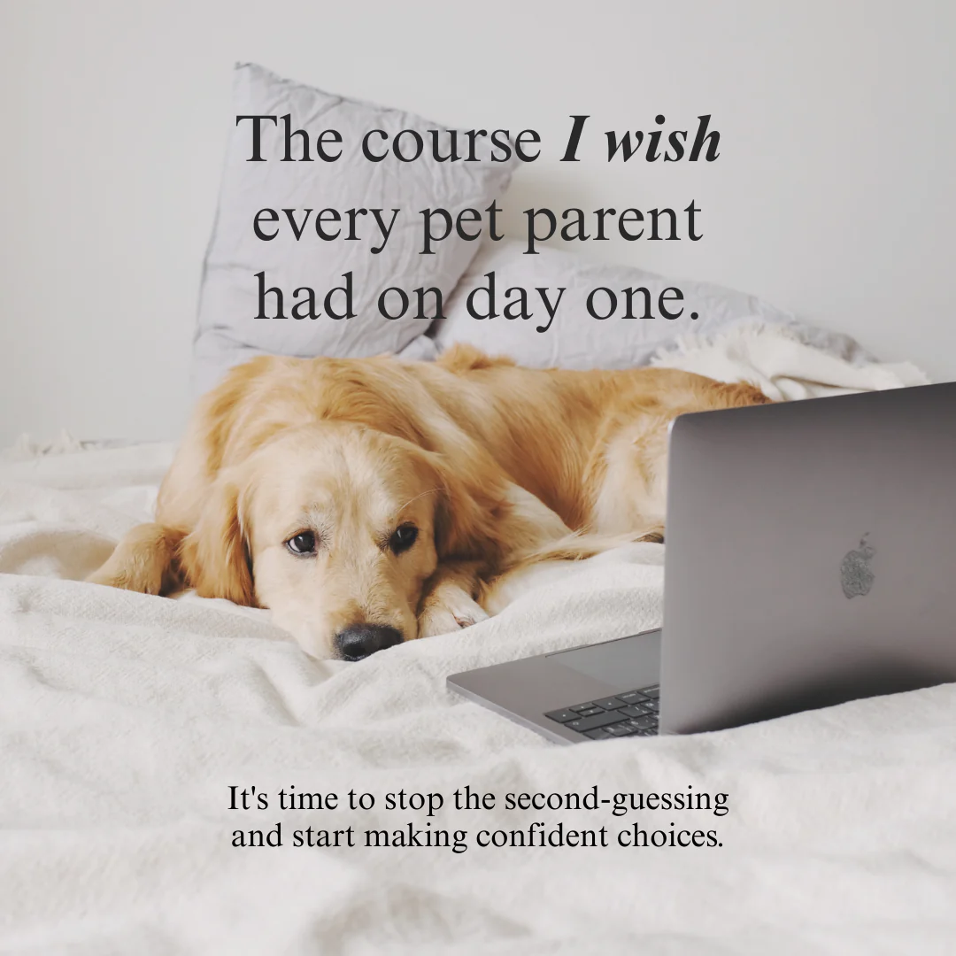 Whole Pet Wellness Academy: The Pet Parent Holistic Health Toolkit - Image 9
