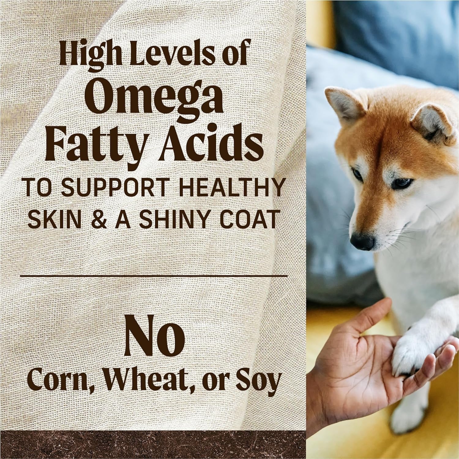 Wholesome and Natural Kibble with Real Chicken and Sweet Potato - Image 11