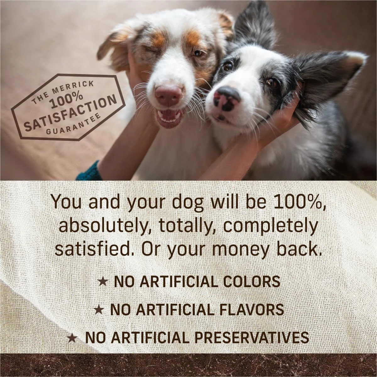 Wholesome and Natural Kibble with Real Chicken and Sweet Potato - Image 7