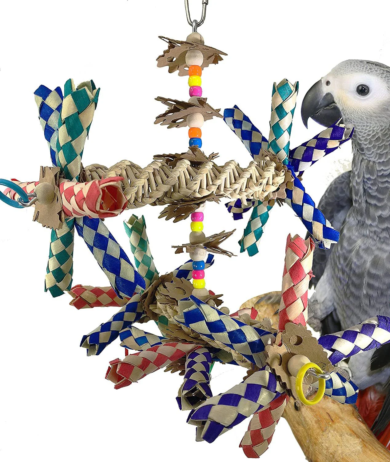 Wide Parrot Toy - Image 3