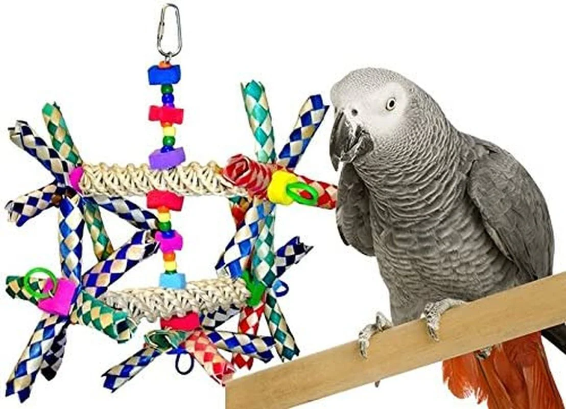 Wide Parrot Toy - Image 4