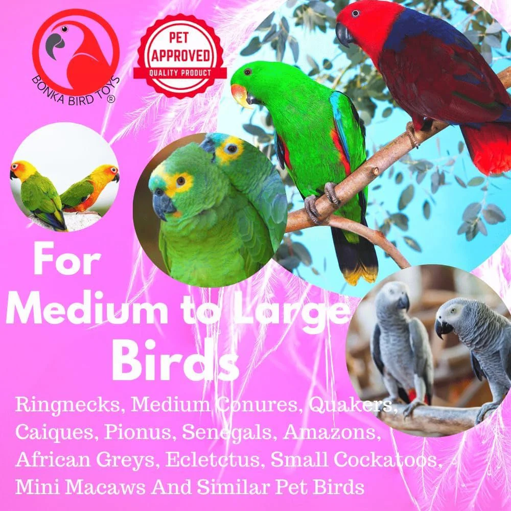 Wide Parrot Toy - Image 9