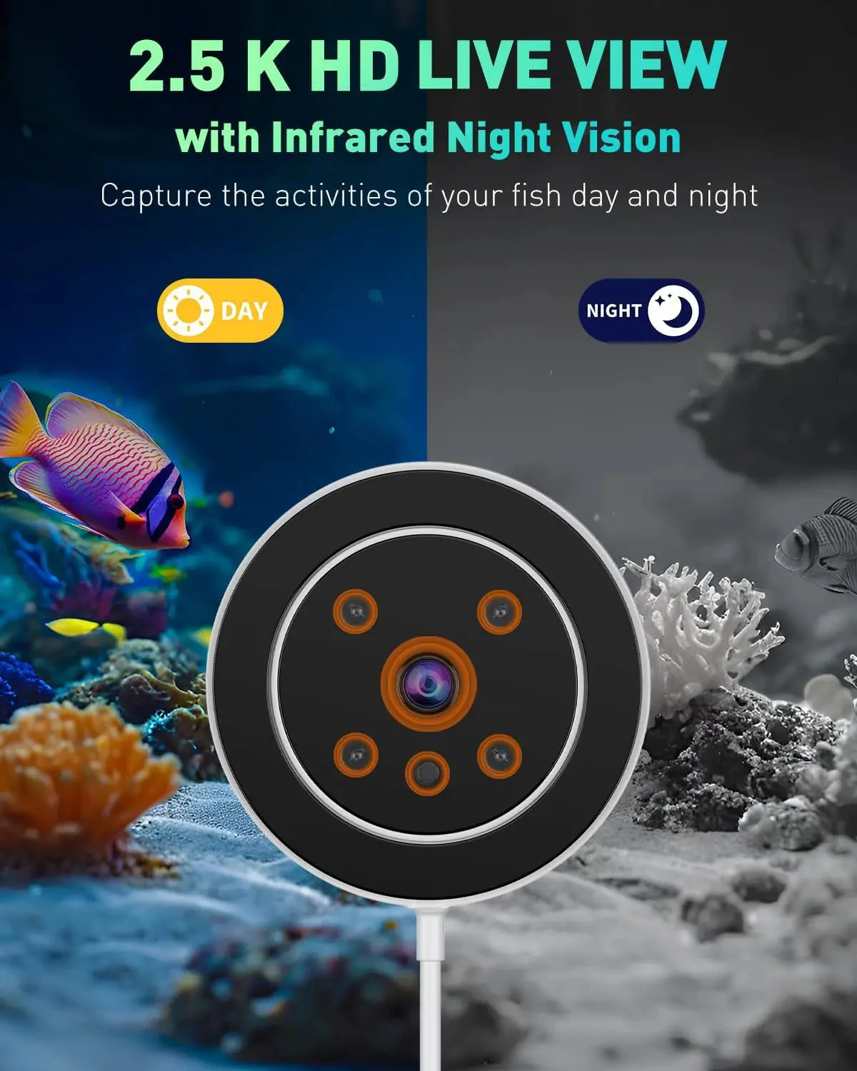WiFi Automatic Fish Feeder with Camera App Control Moisture Proof 230ML - Image 4