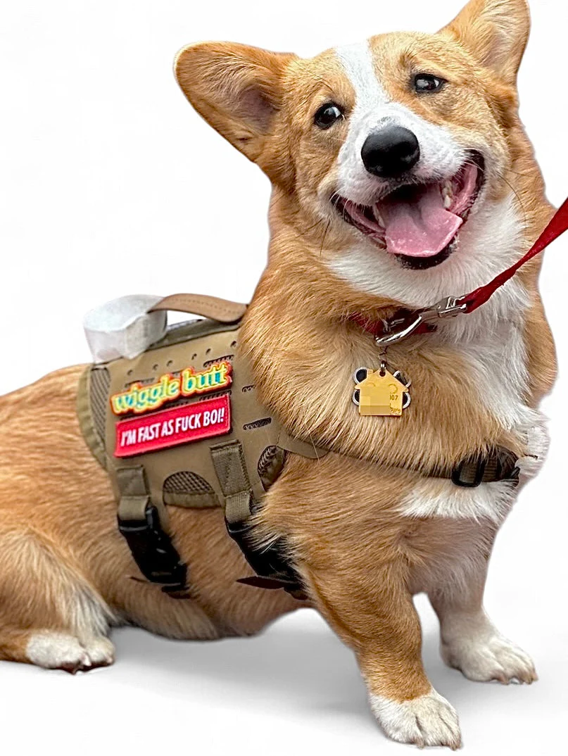 Wiggle Butt Morale Patch - Image 4