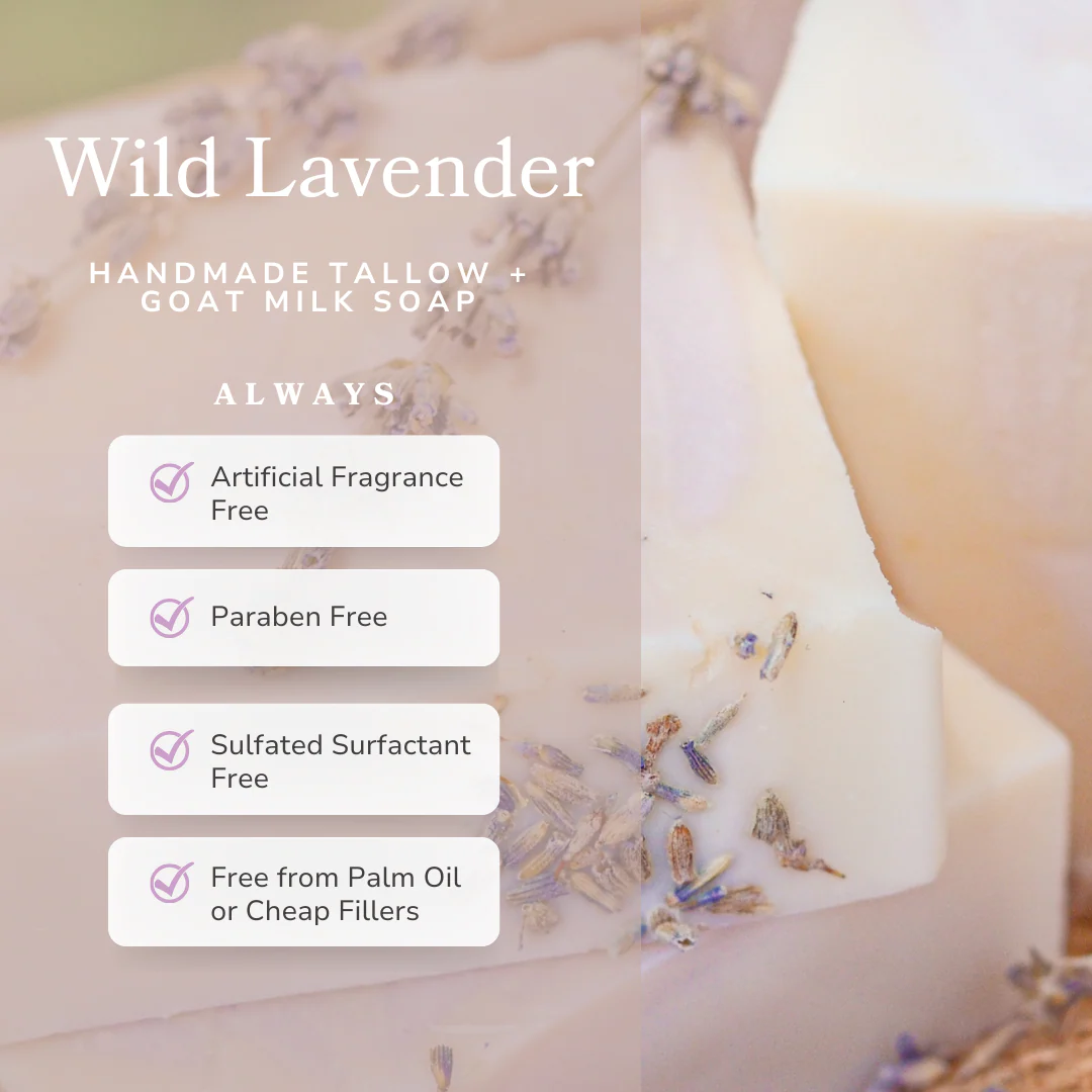 Wild Lavender Handmade Tallow and Goat Milk Soap Bar - Image 4