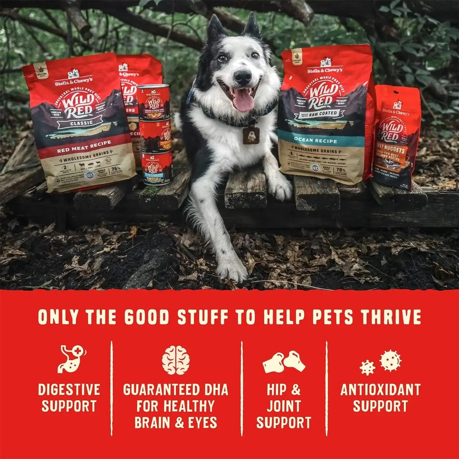Wild Red Dry Dog Food Raw Coated High Protein Grain & Legume Free Red Meat Recipe, 1 Lb. Bag - Image 7