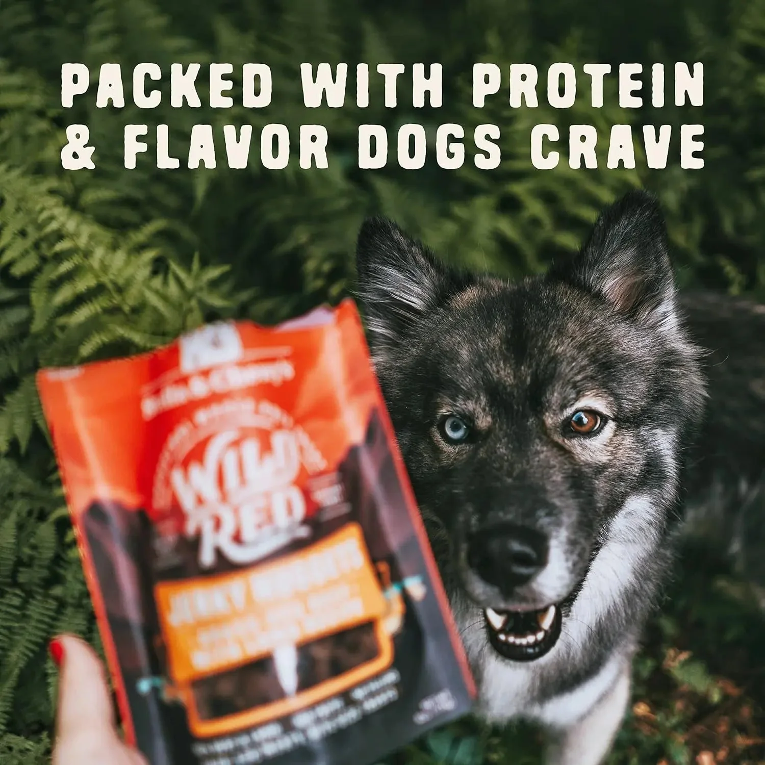 Wild Red Jerky Nuggets - 90% Protein-Rich Chicken & Duck Dog Treats - Grain-Free Training Rewards for All Breeds - Made in USA - 6 Oz Bag - Image 6