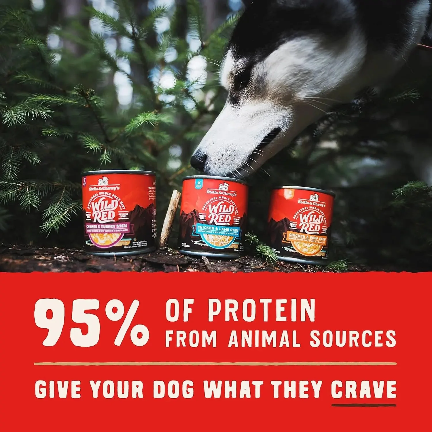 Wild Red Wet Dog Food Chicken & Turkey Stew High Protein Recipe, 10 Ounce (Pack of 6) - Image 5