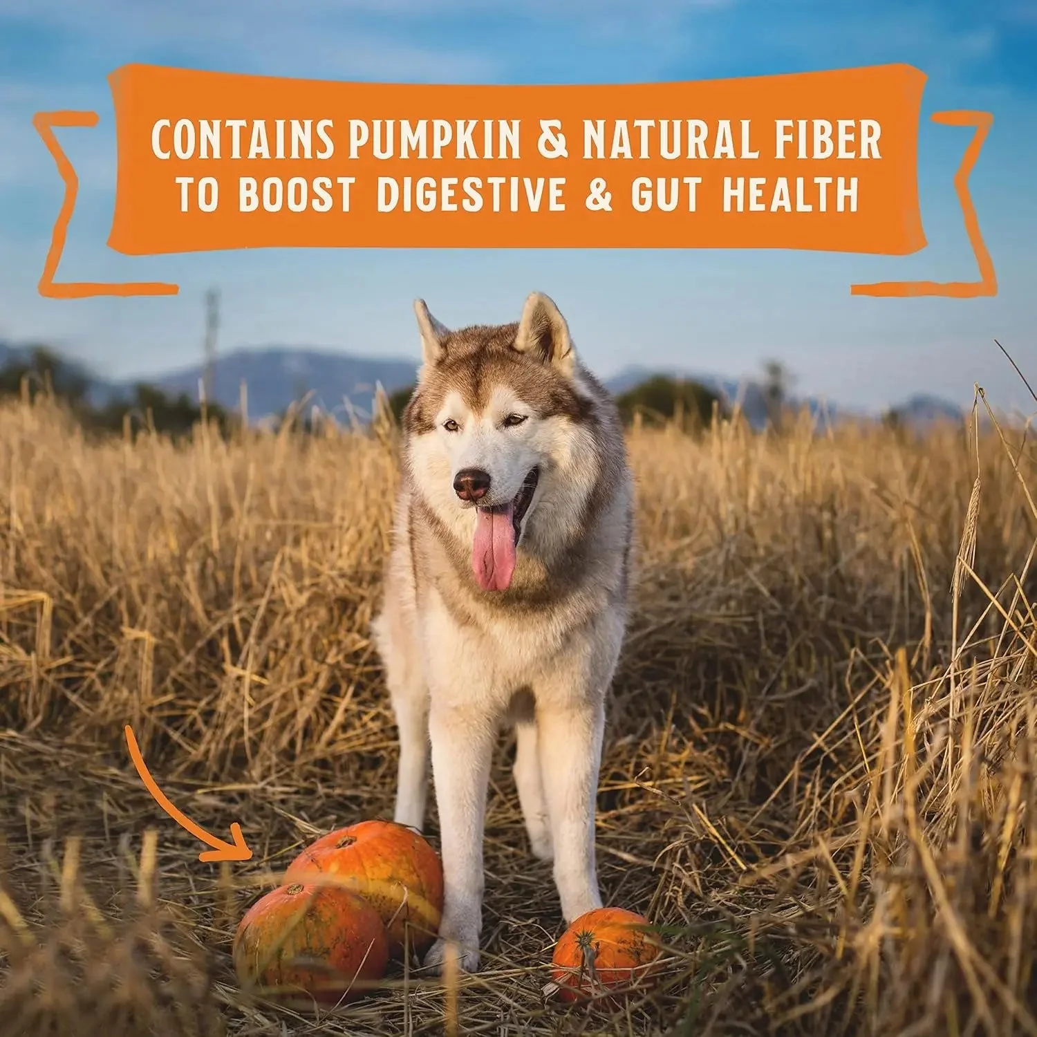 Wild Red Wet Dog Food Chicken & Turkey Stew High Protein Recipe, 10 Ounce (Pack of 6) - Image 7
