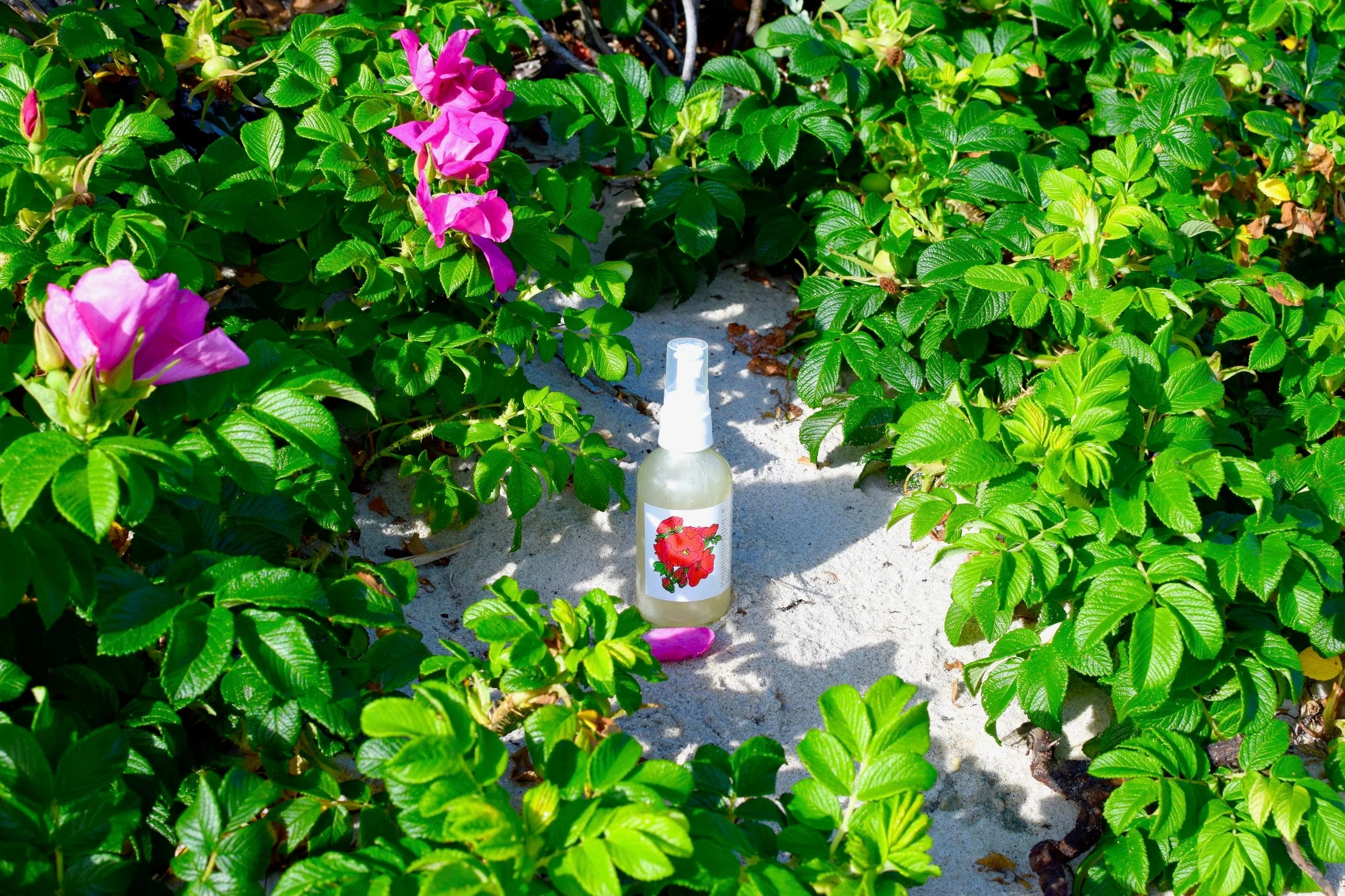 Wild Rose Face Wash - Image 6