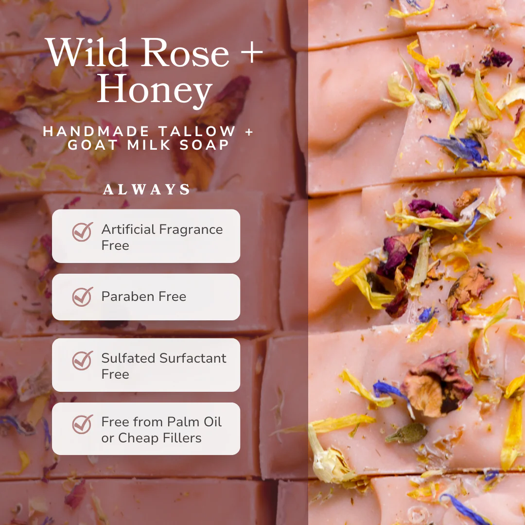 Wild Rose + Honey Handmade Tallow and Goat Milk Soap Bar - Image 4