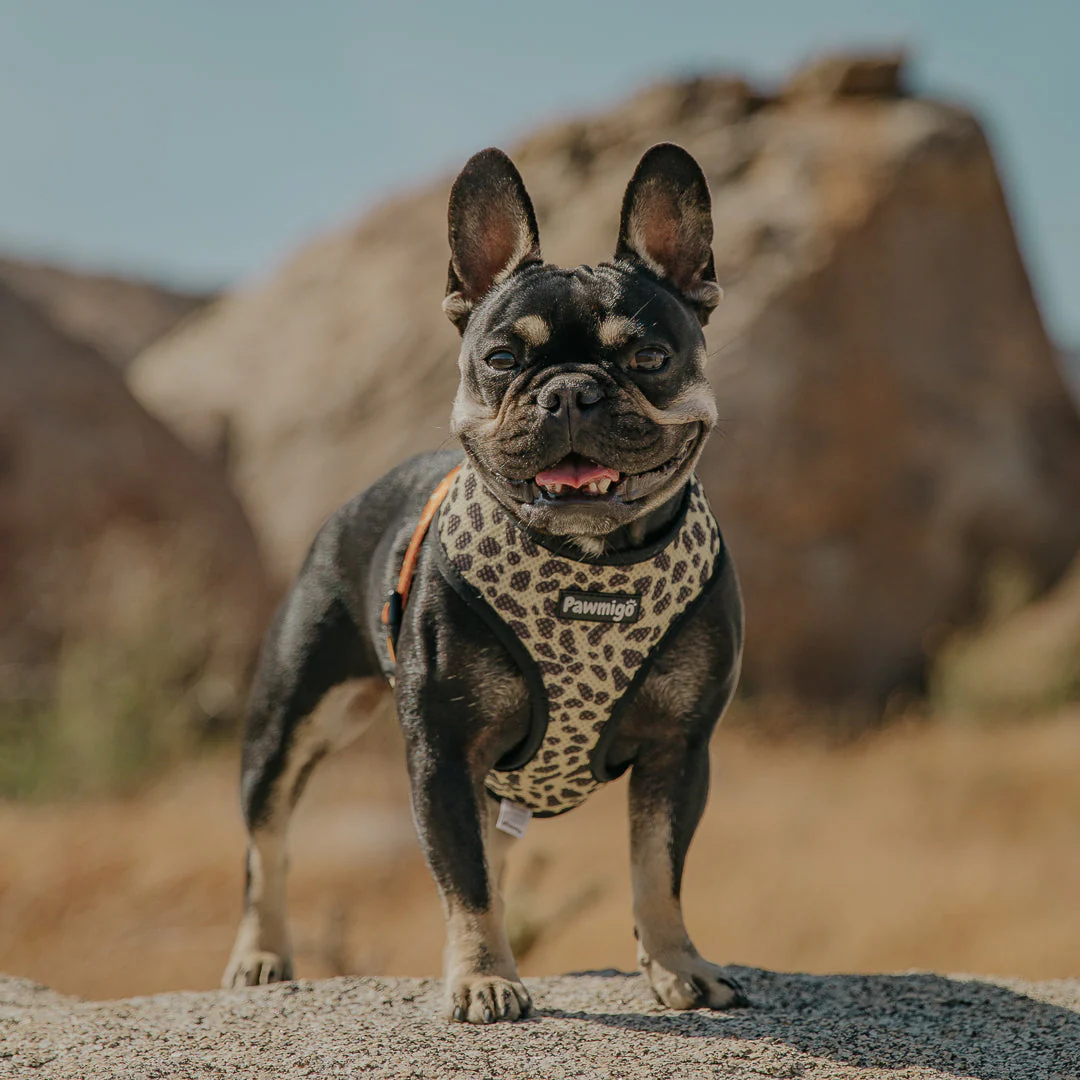 Wild Thing Reversible Harness - Image 3