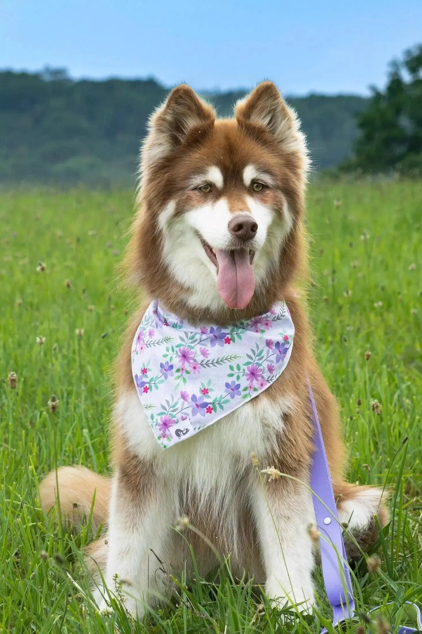 Wildflower Meadow Dog Bandana & Matching Keychain - Image 3