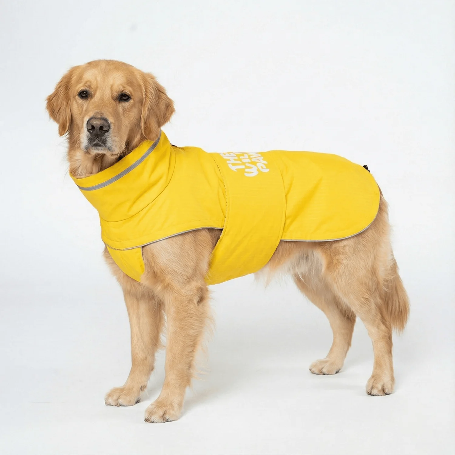WildGuard Rain Coat - Image 3