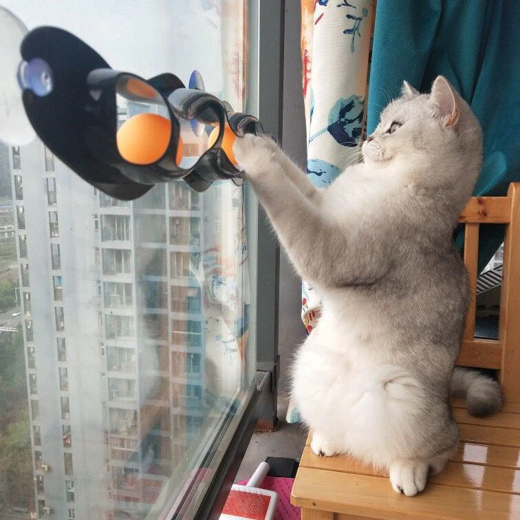 Windowsill Track Ball Cat Toy - Image 3